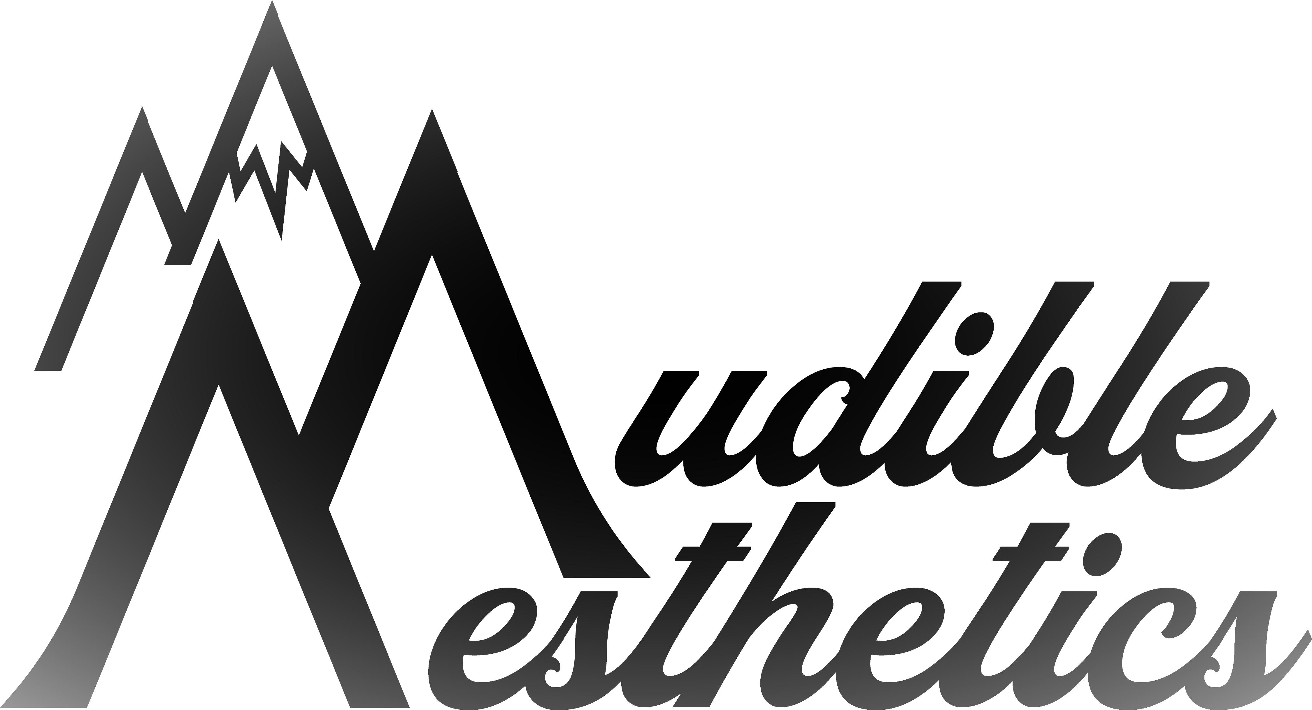 Audible Aesthetics